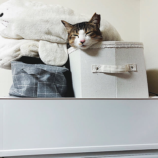 nekomiさんの実例写真