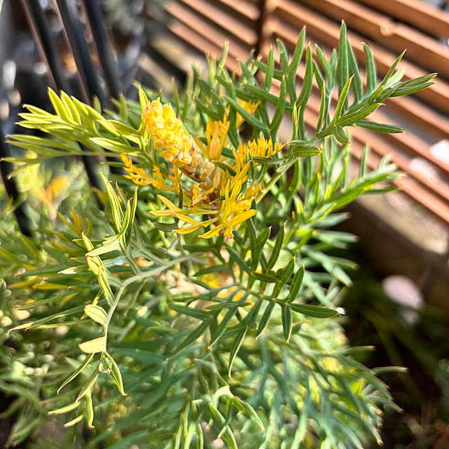 kyoko1124koさんの部屋