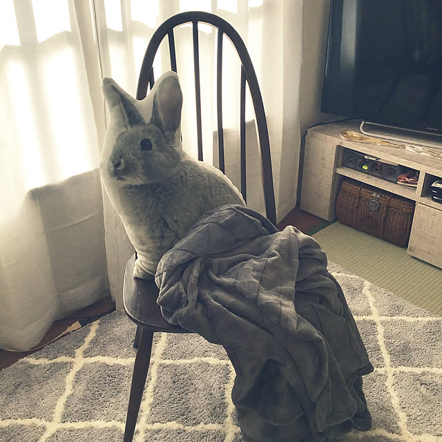 Upalaさんの実例写真