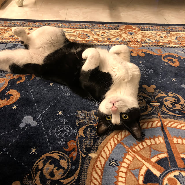 Fujikoさんの実例写真