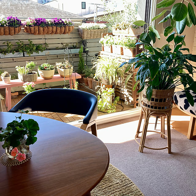 marukoさんの部屋