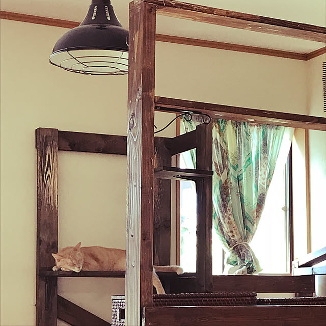 mikan161さんの実例写真