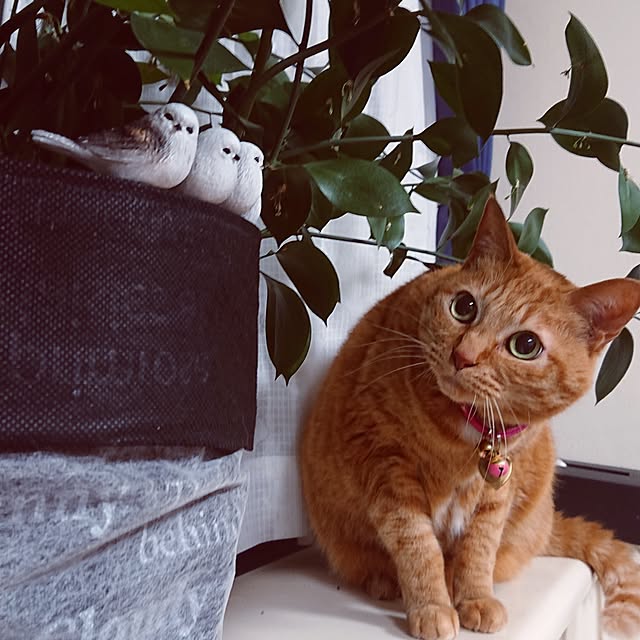 NOAHさんの実例写真