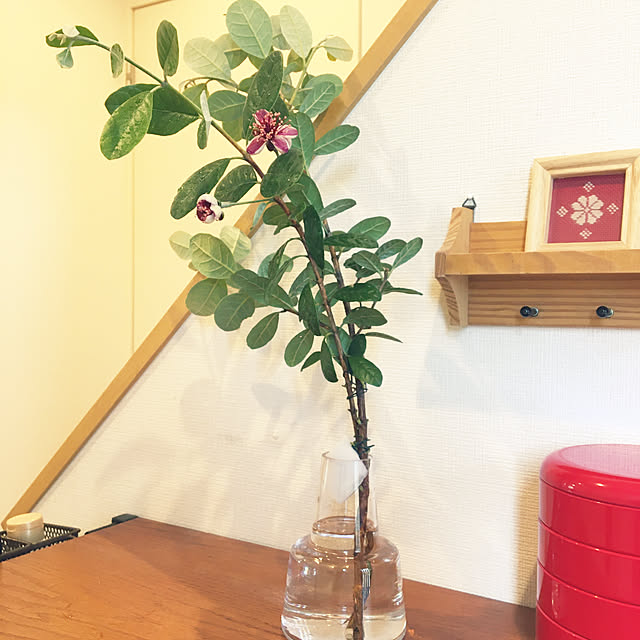 yumi.coroさんの実例写真