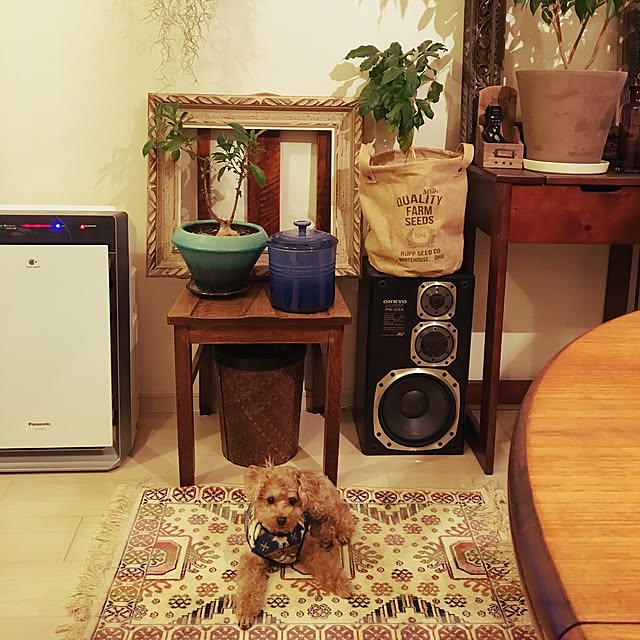 yuchiさんの実例写真