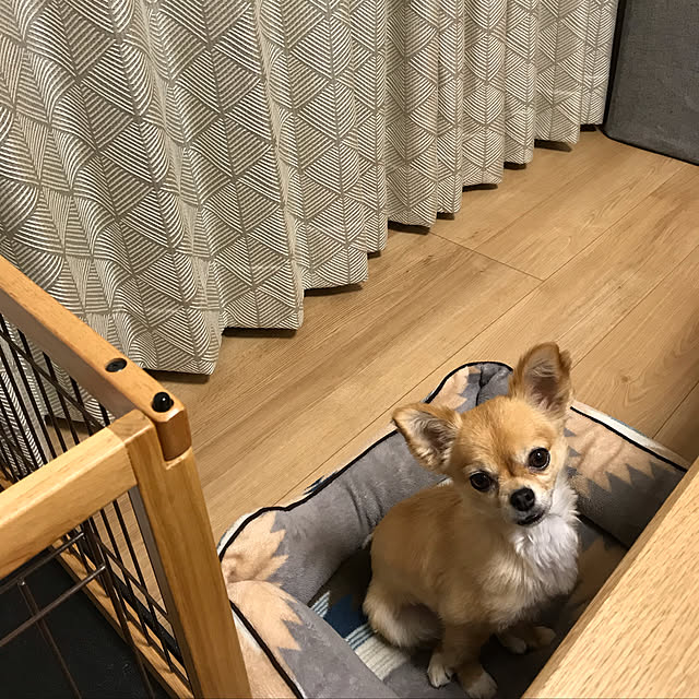 hananokaoriさんの実例写真