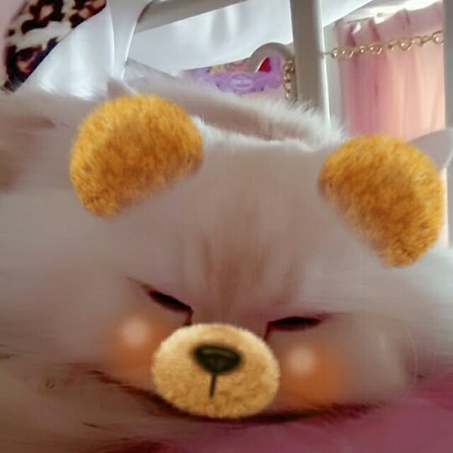 ariellove630さんの実例写真
