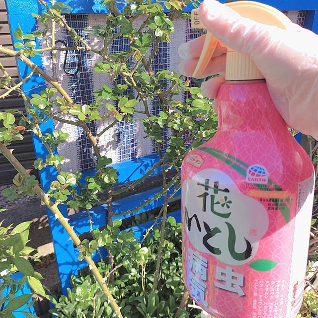 Miyumamaさんの部屋