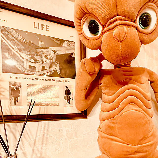 boss66さんの実例写真