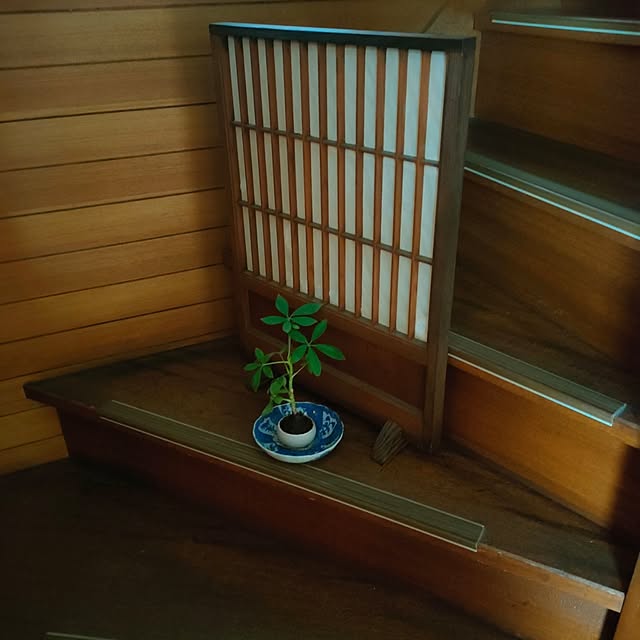 k30m24marchさんの実例写真
