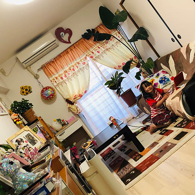 実例写真