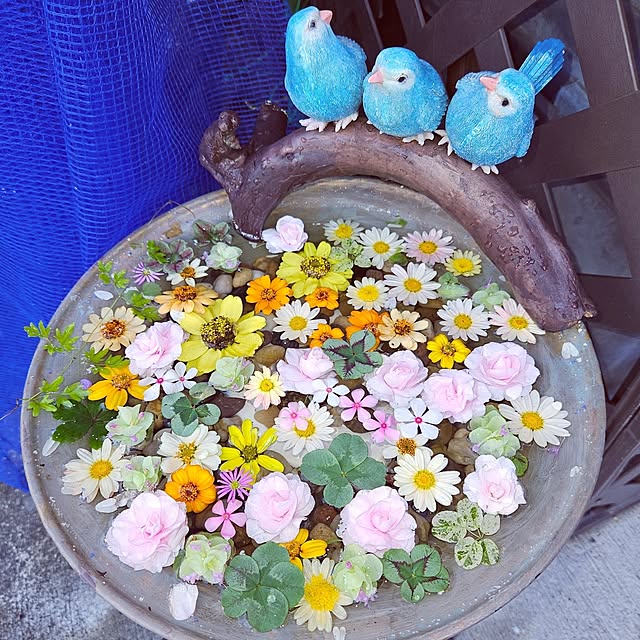 mocomocoさんの実例写真