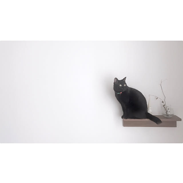 uさんの実例写真