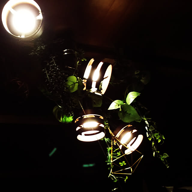 ringarintonさんの実例写真