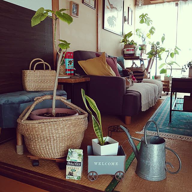 fukuさんの実例写真