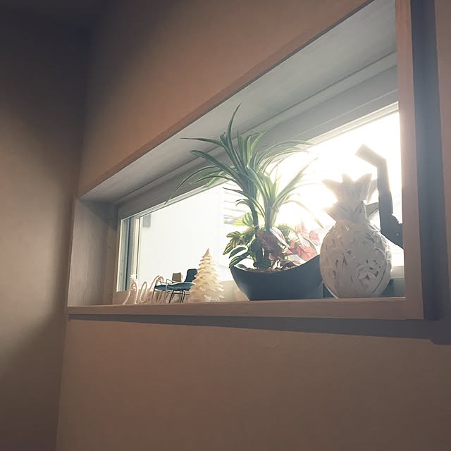 riiiraaaさんの実例写真
