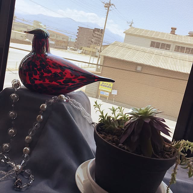 juboccoさんの実例写真