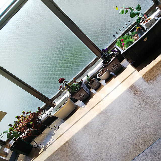 n0516さんの実例写真