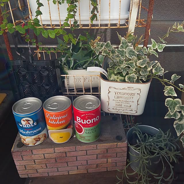 Myuuさんの部屋