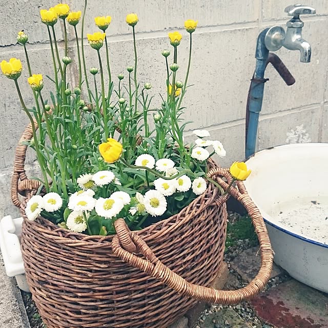 rumiさんの実例写真