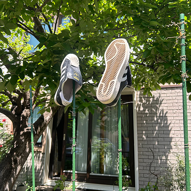 botanさんの実例写真