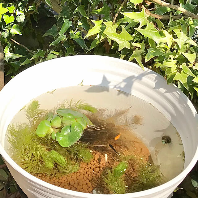 tararaさんの実例写真