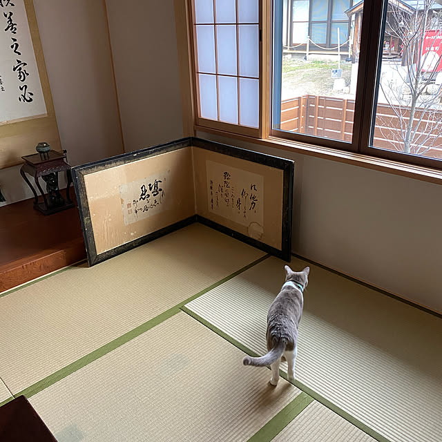 taakoさんの実例写真