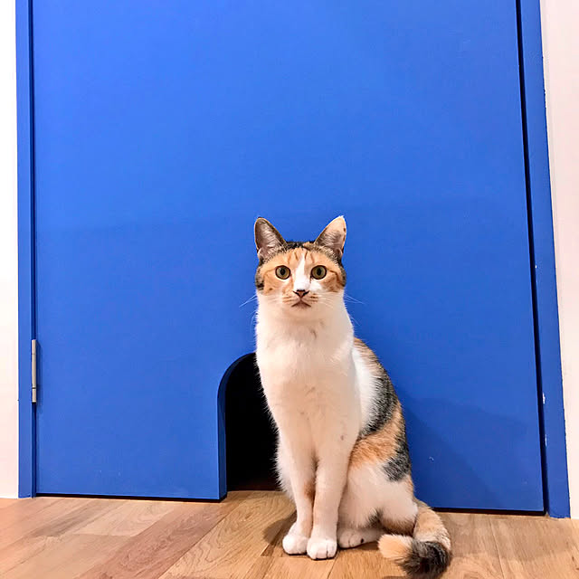 s.uraさんの実例写真