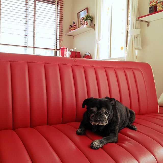 kuupugさんの実例写真