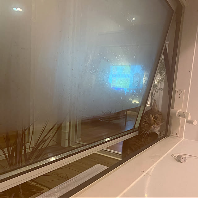 Azさんの実例写真