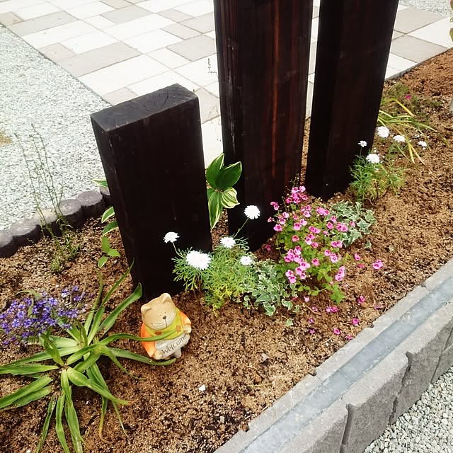 yさんの実例写真