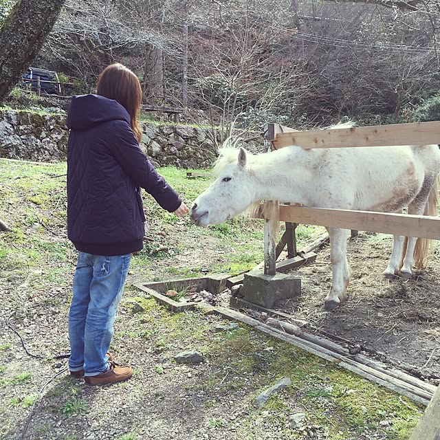 実例写真