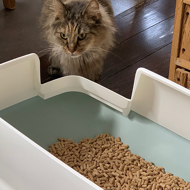 masakoさんの部屋
