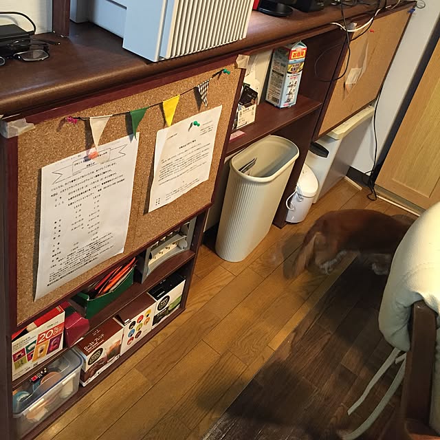 rikaさんの実例写真