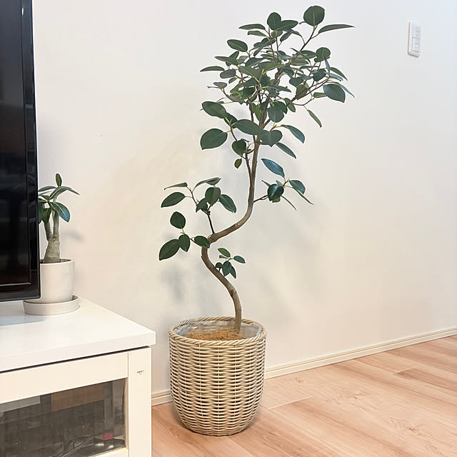 watamame3さんの実例写真