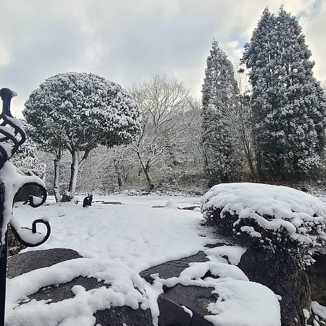 Rubiconさんの部屋