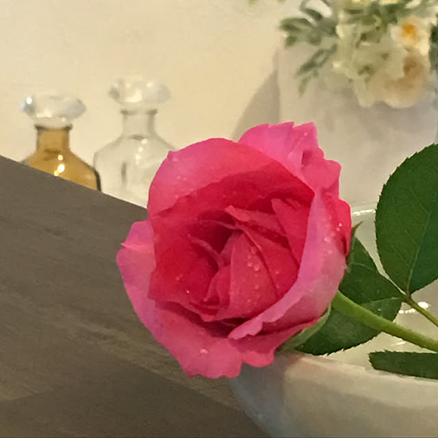 Sakura_hanaさんの実例写真