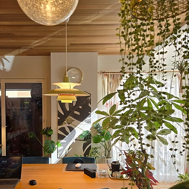 nonbiri_house_さんの部屋