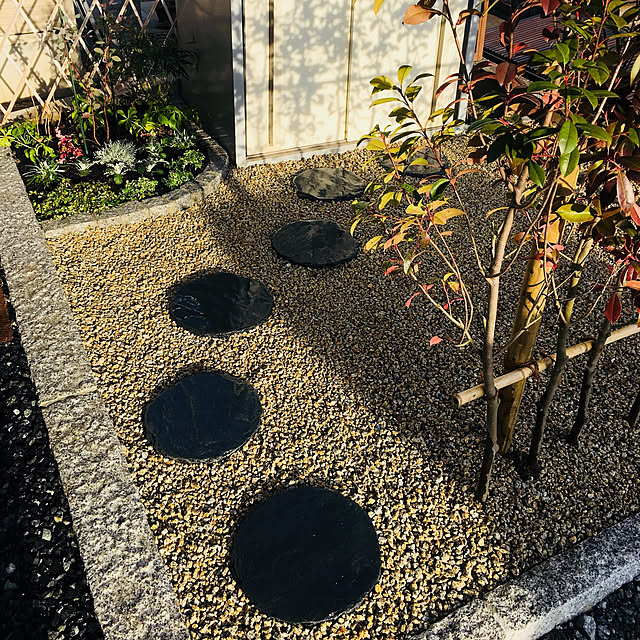dogsさんの実例写真