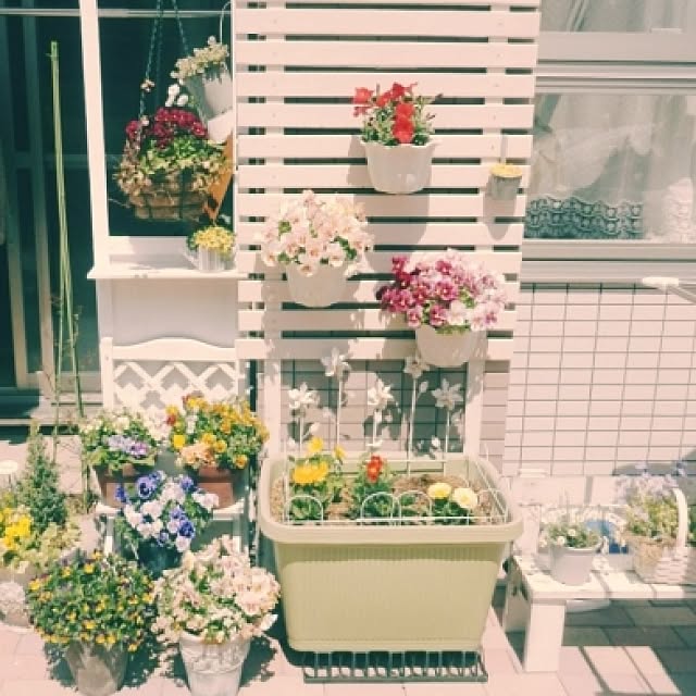 momoiroさんの実例写真