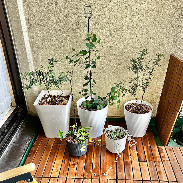 kagomamaさんの実例写真