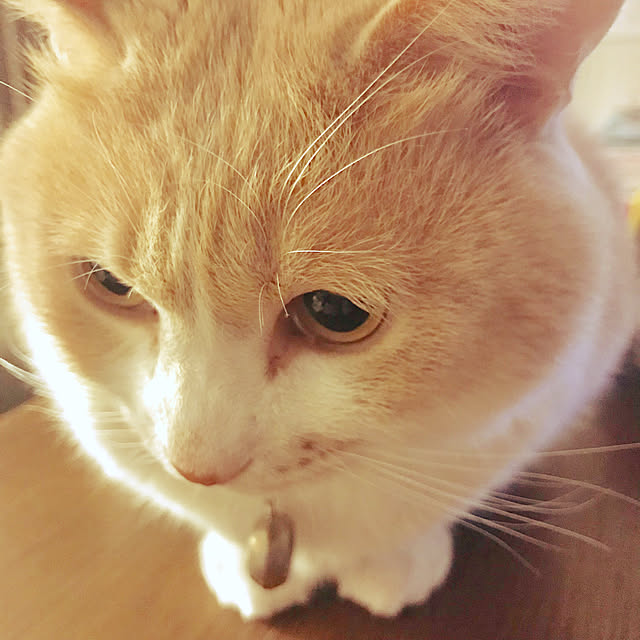 BUNさんの実例写真