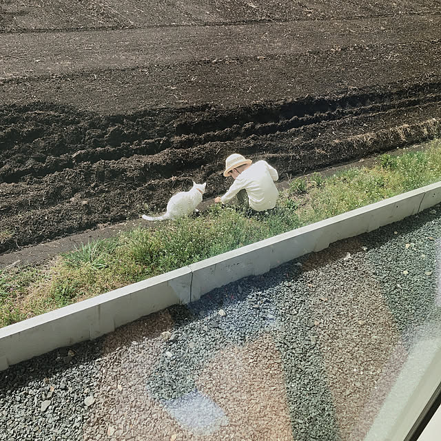 ha11na40さんの実例写真