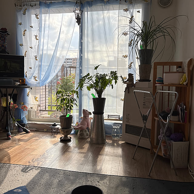 Reiさんの実例写真