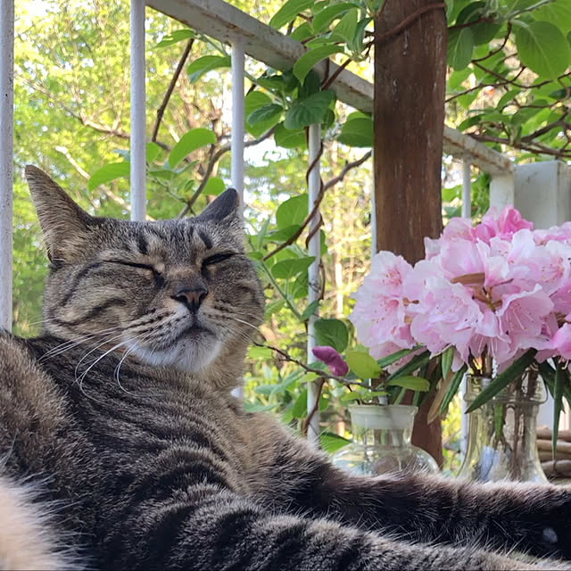weさんの実例写真