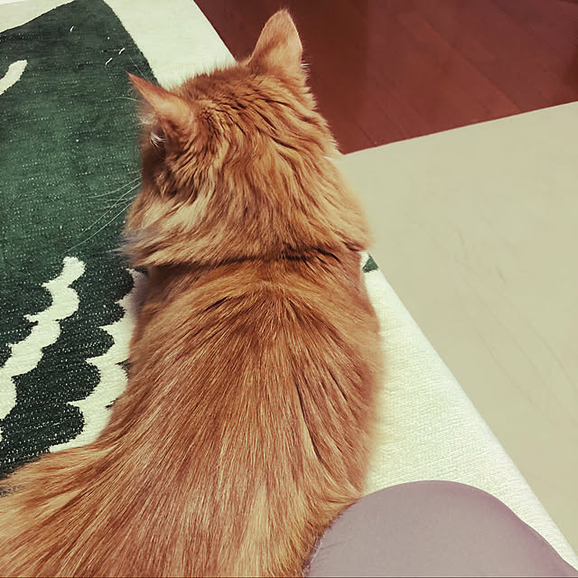 uchidaizuさんの実例写真