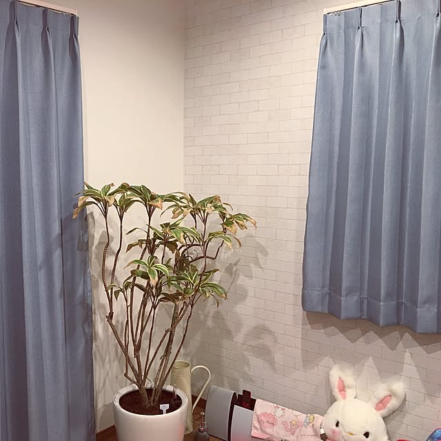 MIKIさんの実例写真
