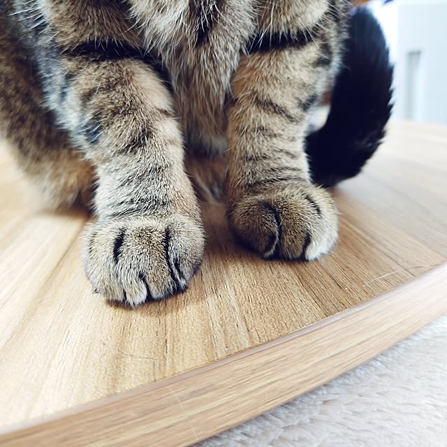 nachiさんの部屋