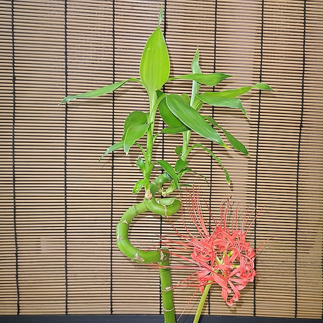 katさんの部屋