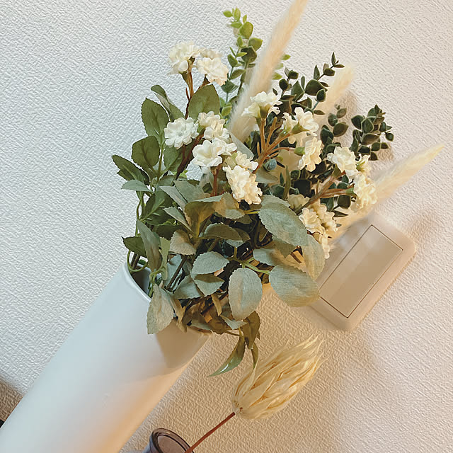 daccoahyさんの部屋